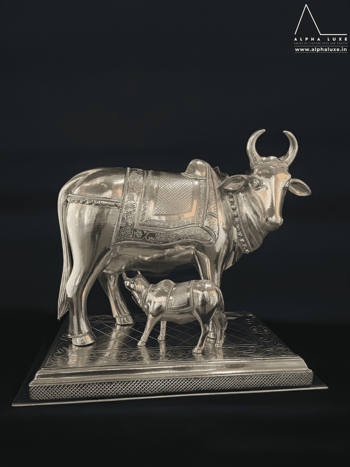 WhatsApp Image 2023-10-21 at 11.50.00 AM (8).jpeg